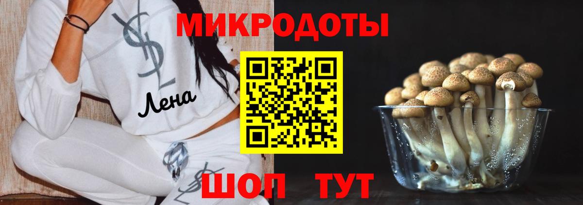 Алейск  дарнет шоп  Вход с VPN  Галлюциногенные грибы мицелий 